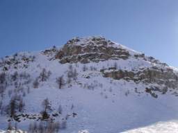 081124_A_siamo in 50.JPG
